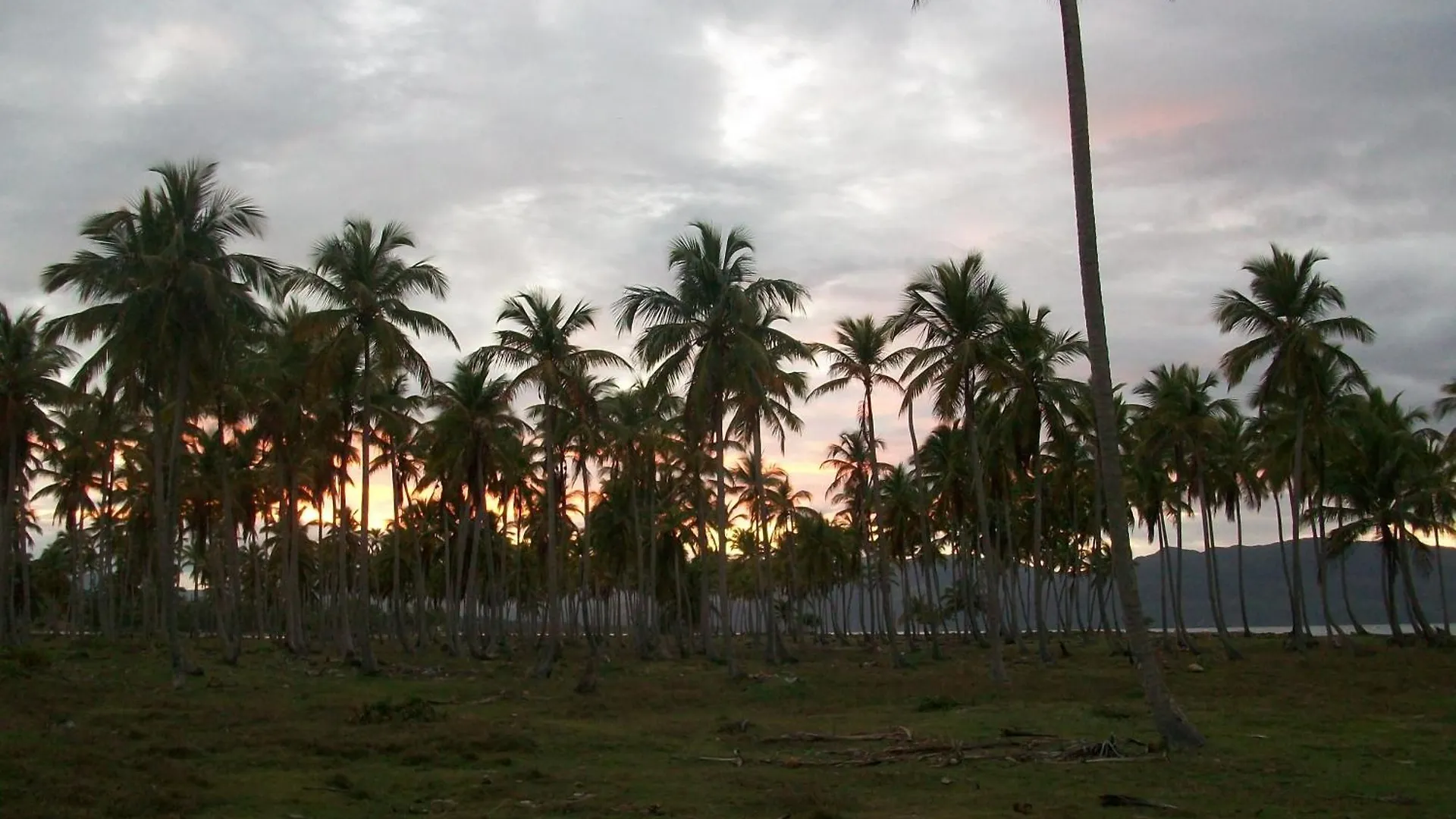 Villa La Caleta Las Galeras Guest house