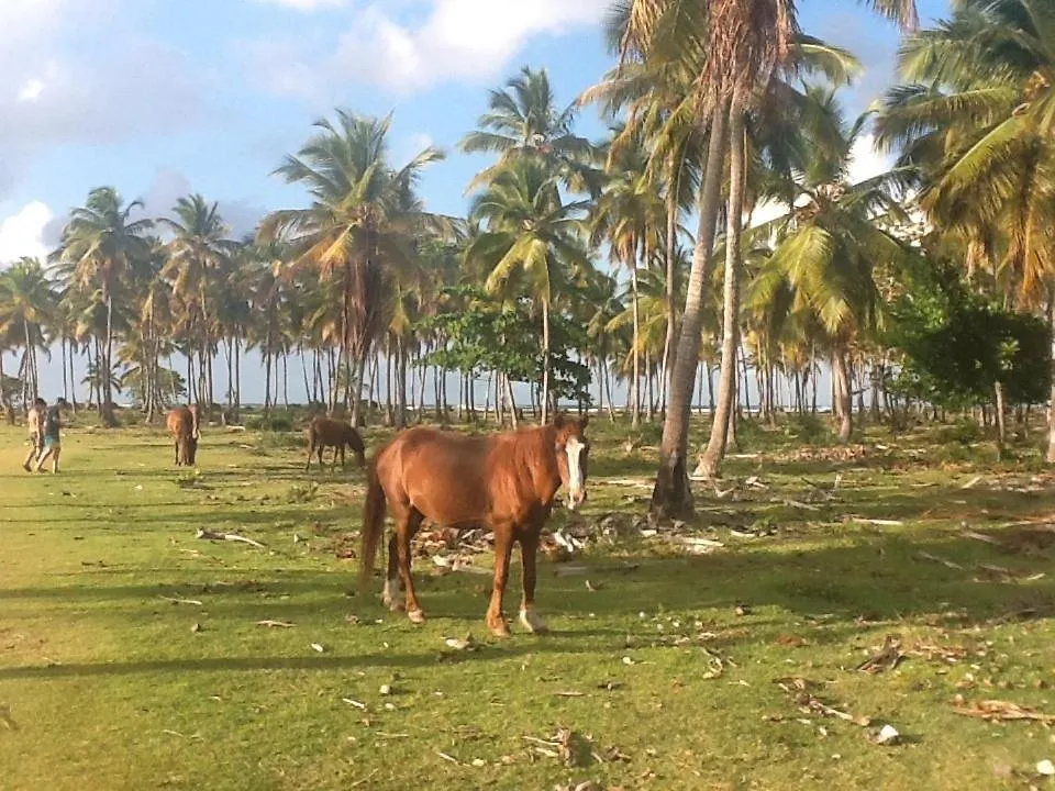 Villa La Caleta Las Galeras