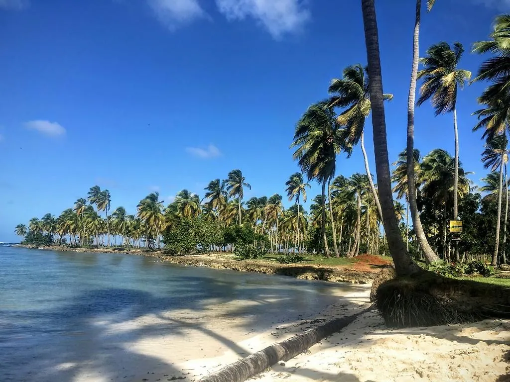 Villa La Caleta Las Galeras Guest house